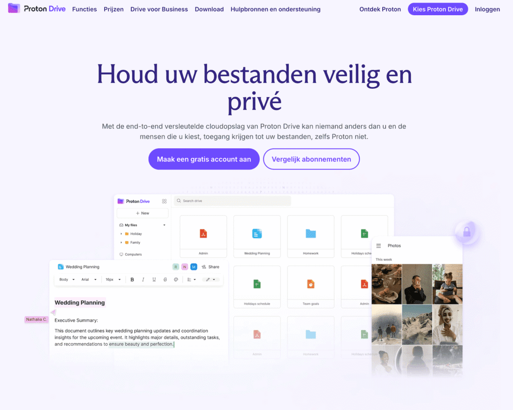 Proton Drive skjermbilde